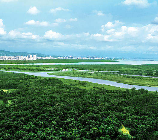 Lodha-Regalia-Mulund-View-From-Balcony